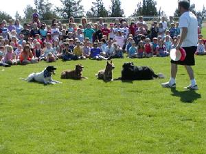 school assemblies