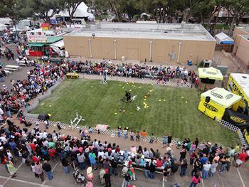 dog show for fairs